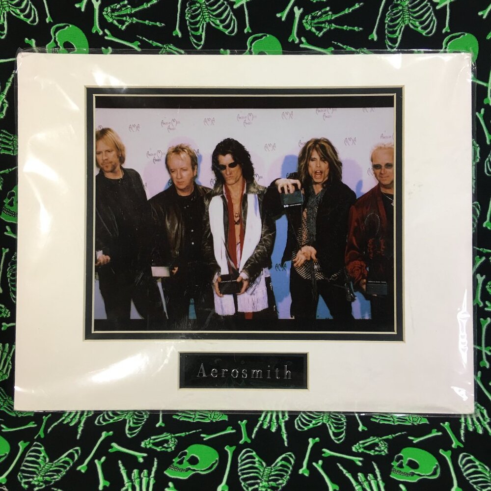 Aerosmith 11x14 Matted Photo